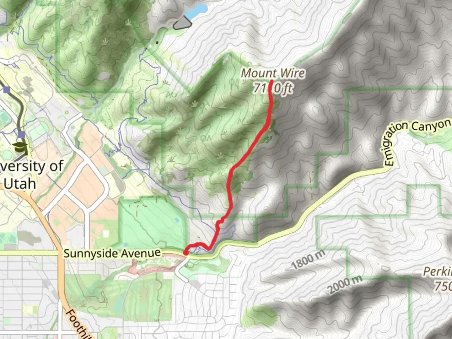 An image depicting the trail Mount Wire South Trail and its surrounding area.