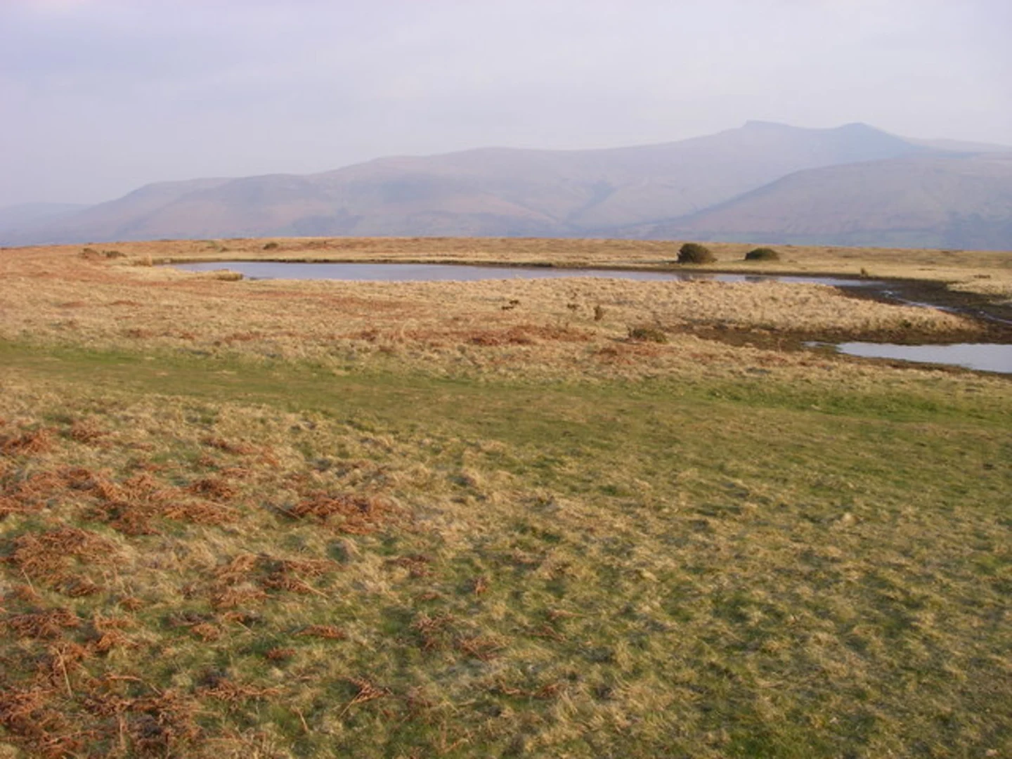 An image depicting the trail Mynydd Illtud Common Loop and its surrounding area.