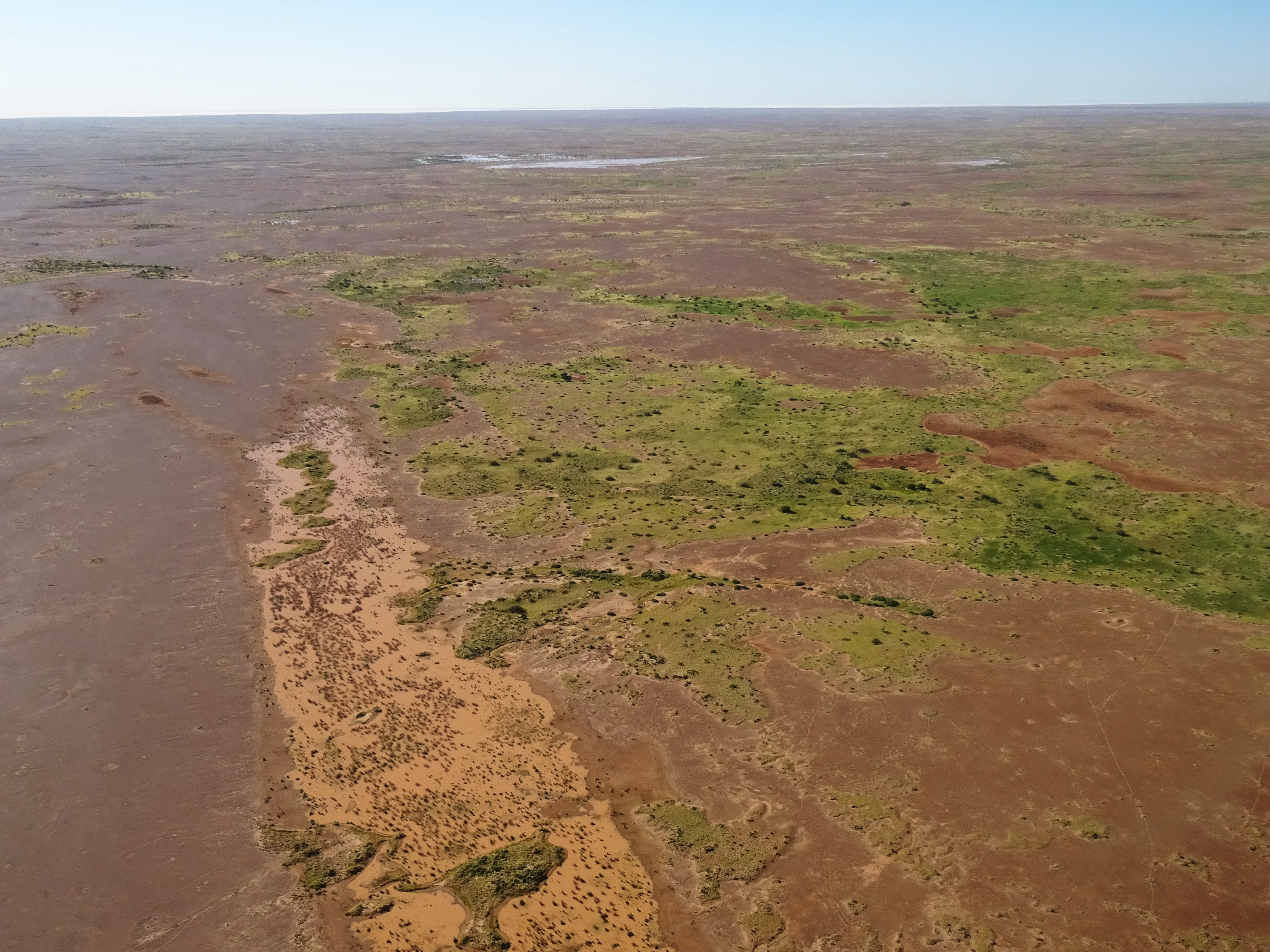 An image depicting the trail Kati Thanda–Lake Eyre National Park and its surrounding area.