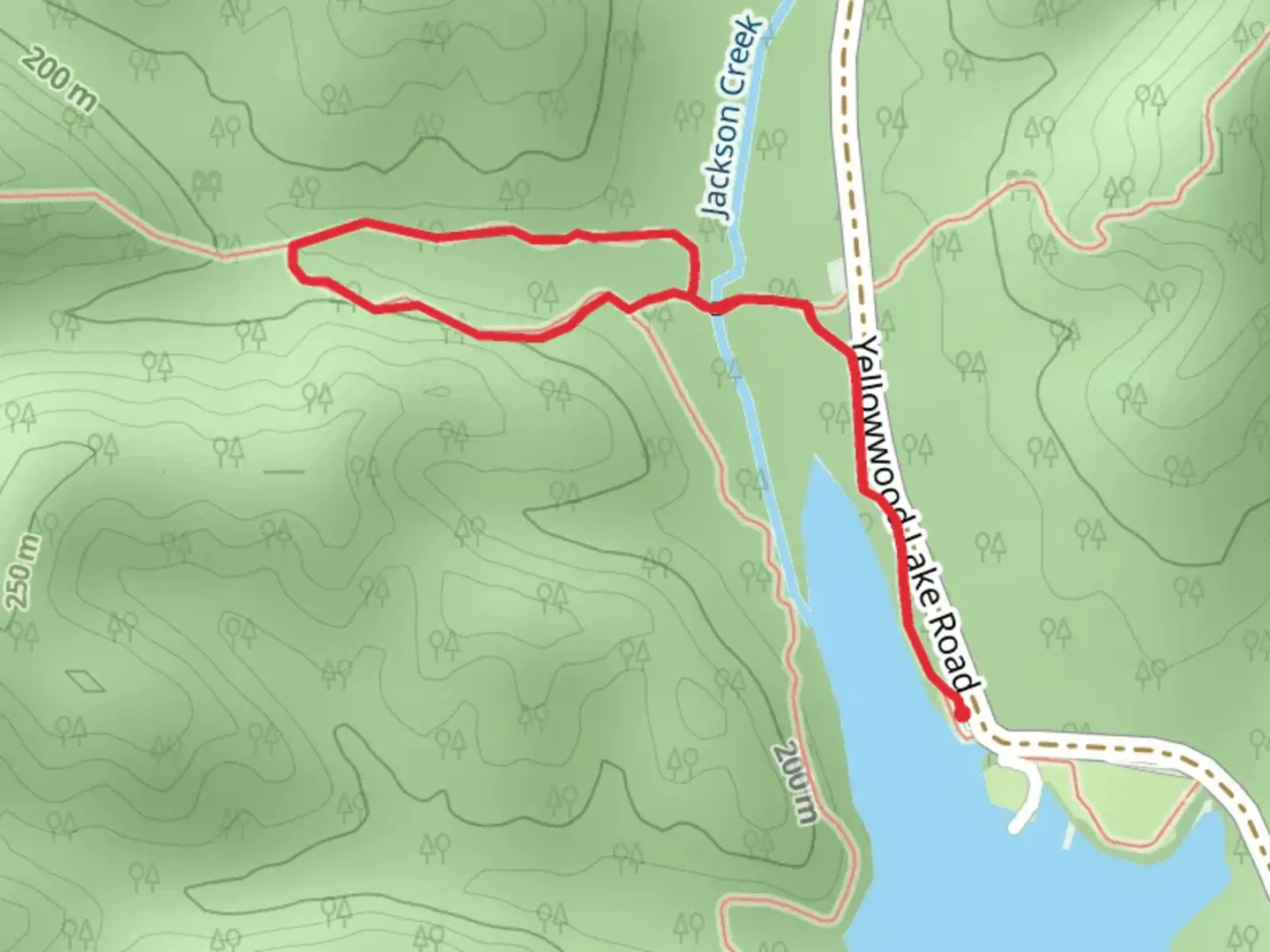 An image depicting the trail Jackson Creek Trail via Yellowwood Lake Trail and its surrounding area.