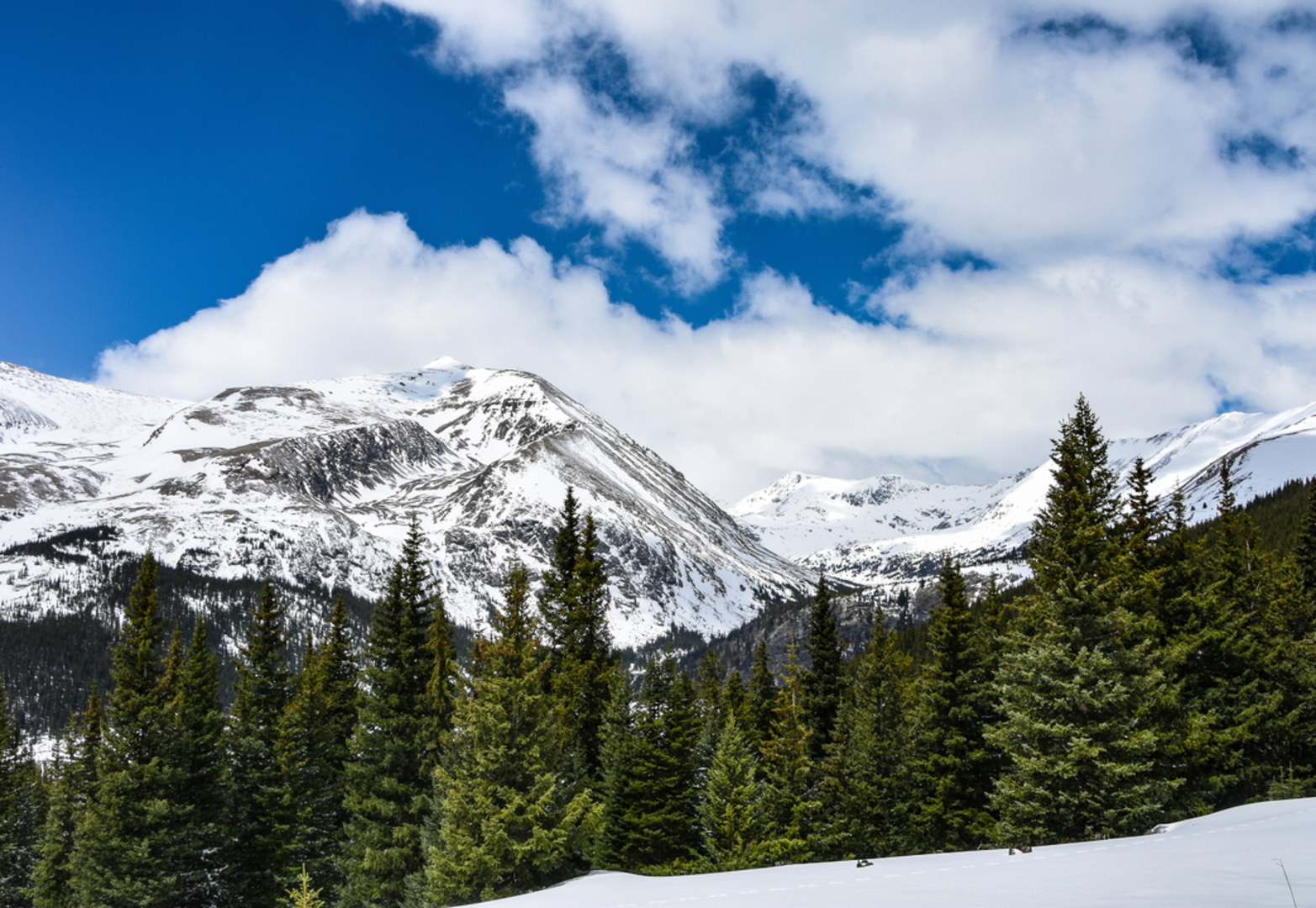 An image depicting the trail Mount Massive - North Halfmoon via Mt Massive Southwest Slopes Trail and its surrounding area.