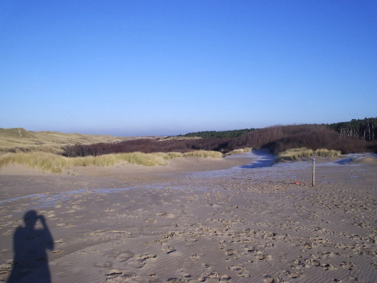 Old Dune Path North - Ainsdale Sands National Nature Reserve
