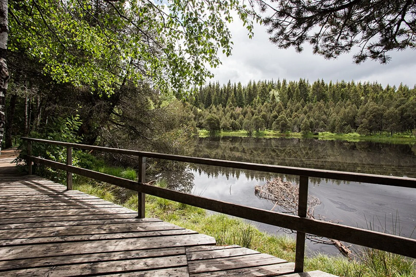 An image depicting the trail Blindenhöhe, Blindensee and Fuchsbach Loop - Vogte and its surrounding area.