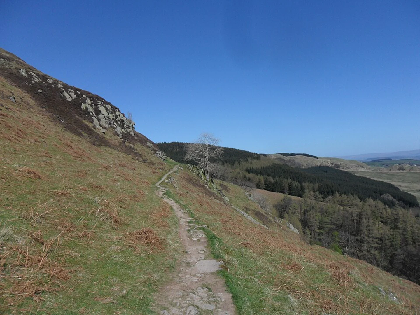 An image depicting the trail Gowbarrow Fell Loop via The Ullswater Way and its surrounding area.