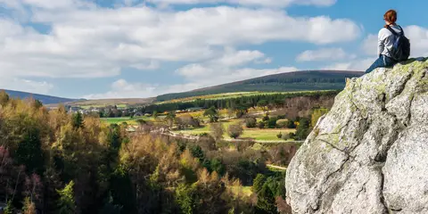 An image depicting the trail Barnaslingan and Carrickgollogan Loop and its surrounding area.