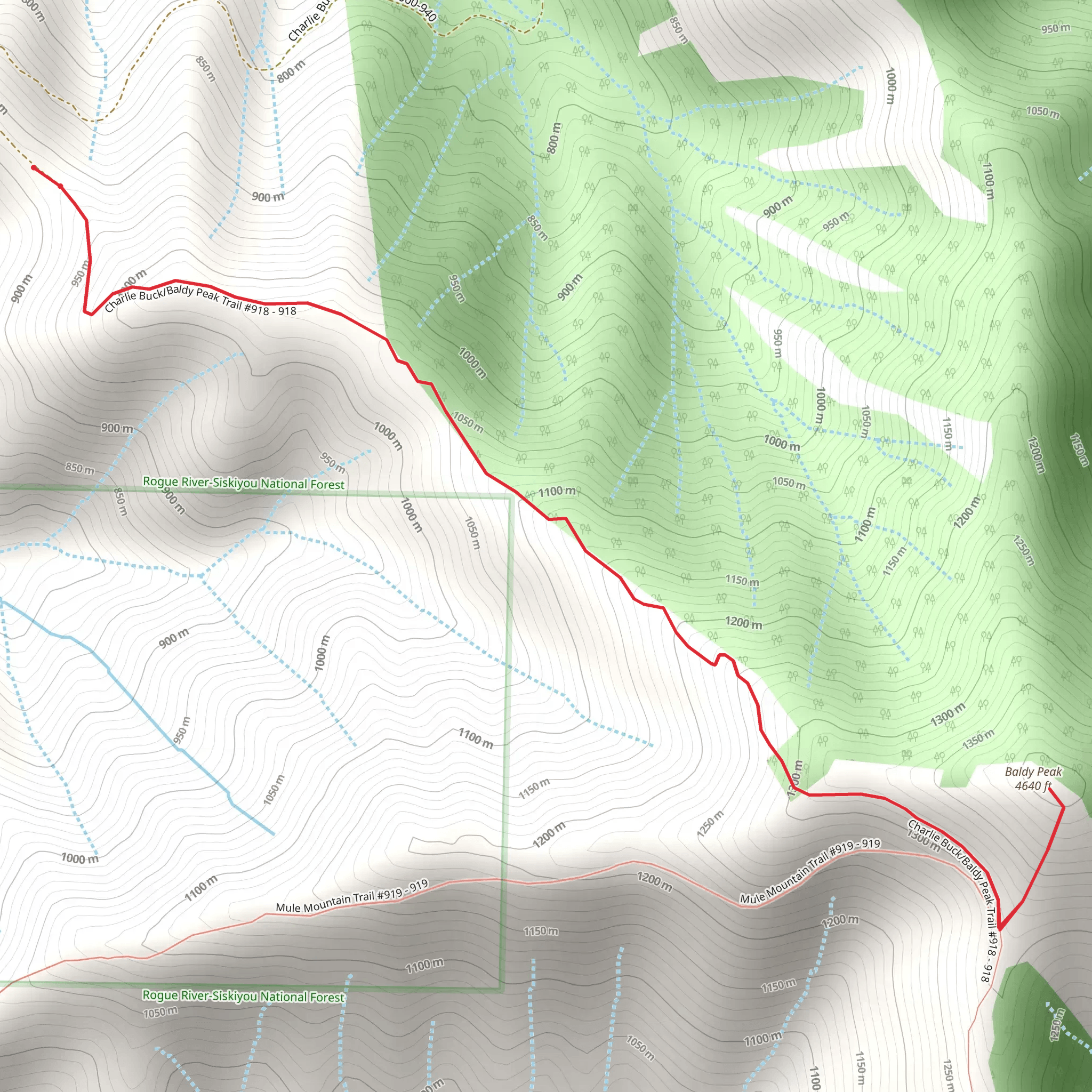 Charlie Buck-Baldy Peak Trail Out and Back mobile static map
