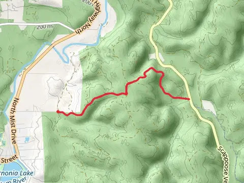 Crown Zellerbach Trail - Short