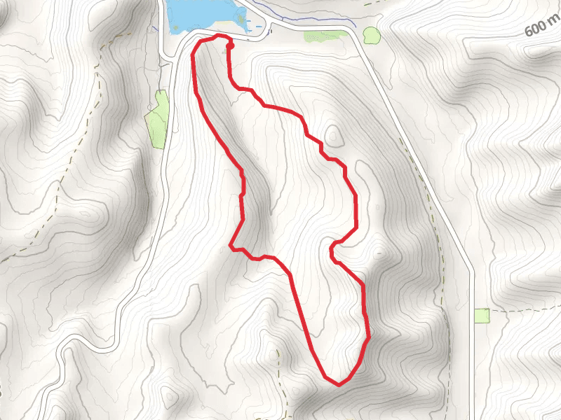 Beehunter Trail Loop