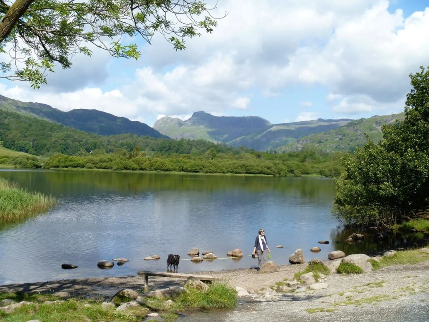 An image depicting the trail Elterwater Walk and its surrounding area.