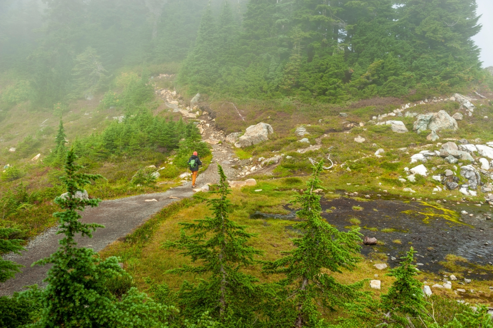 An image depicting the trail Naneum Wilson Trail via Teanaway Wilson Stock Trail and its surrounding area.
