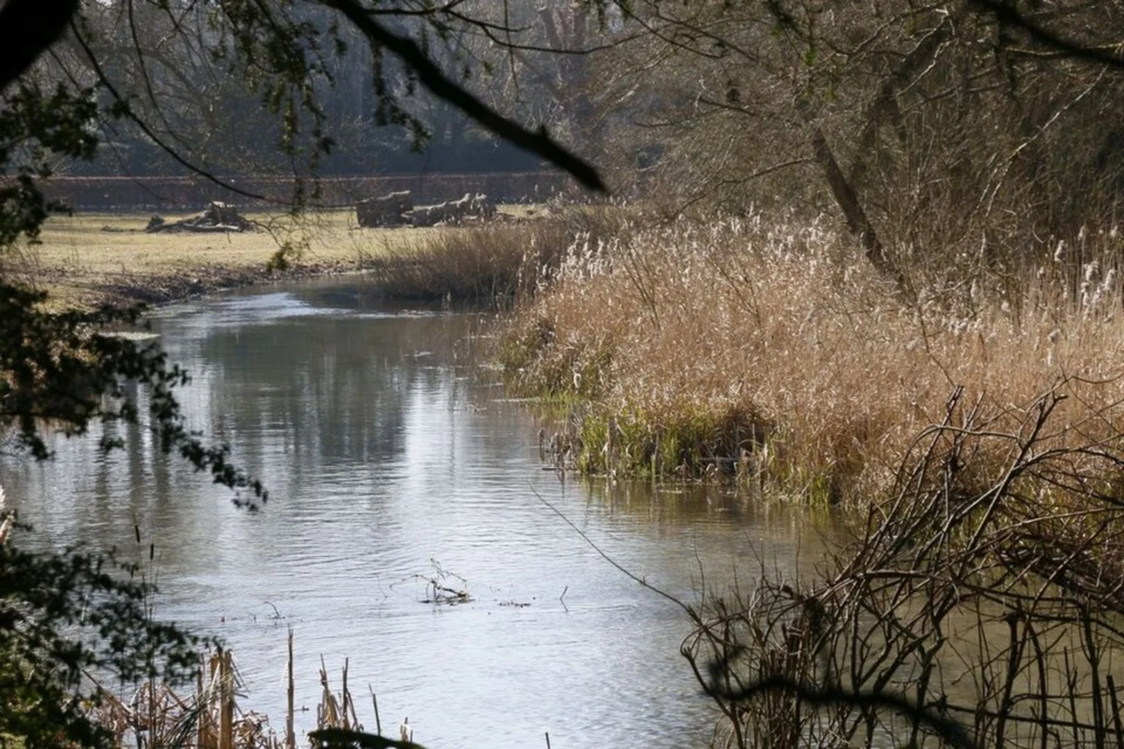 An image depicting the trail Itchen Way from New Cheriton to Winchester and its surrounding area.