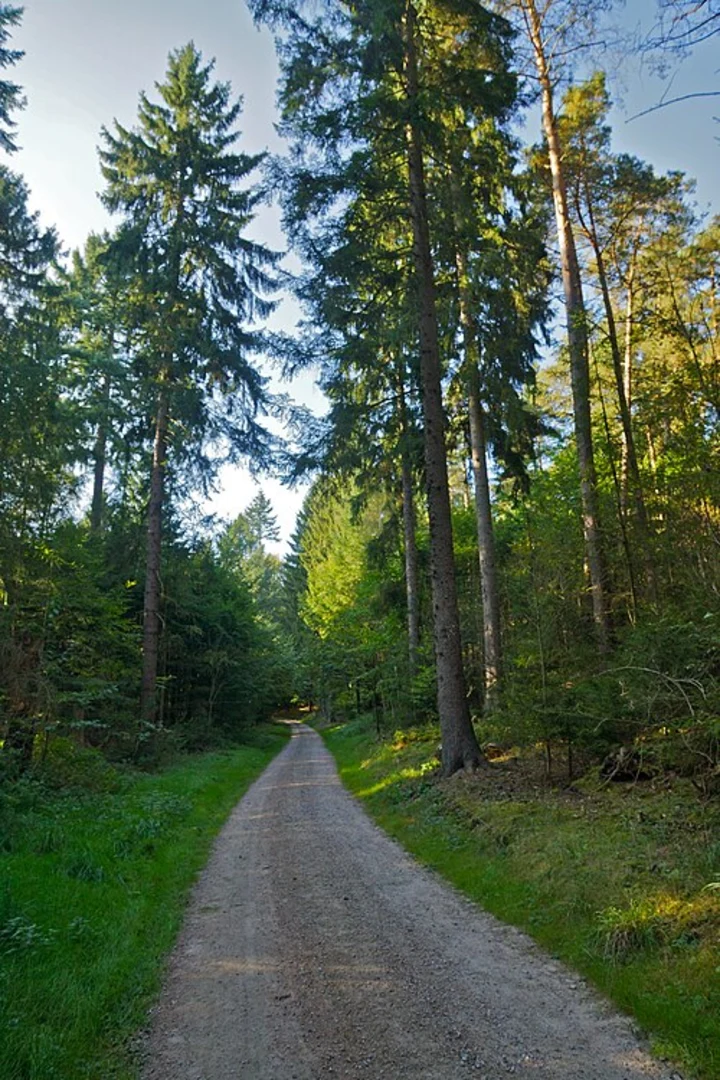 An image depicting the trail Wanderweg 22 and Wander Tour Harburger Berge Loop and its surrounding area.