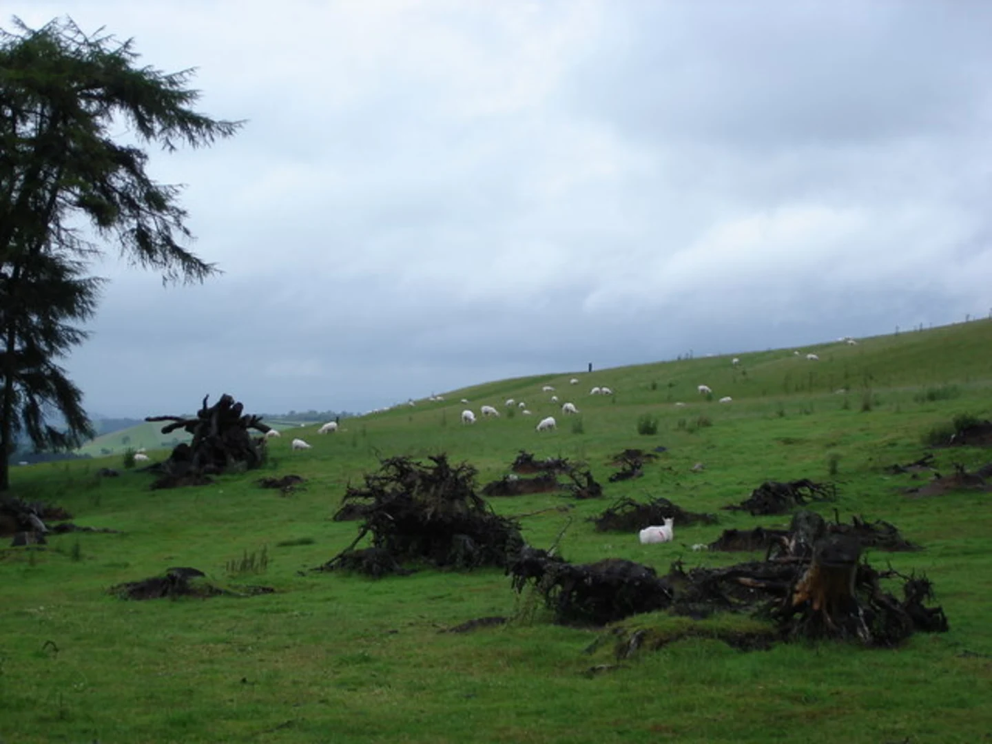 An image depicting the trail Kerry Ridgeway and its surrounding area.