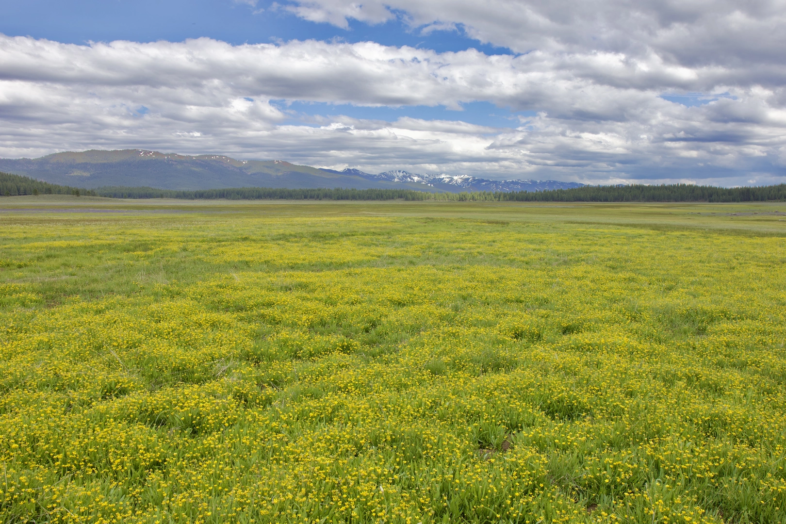 An image depicting the trail Third Divide Trail and its surrounding area.
