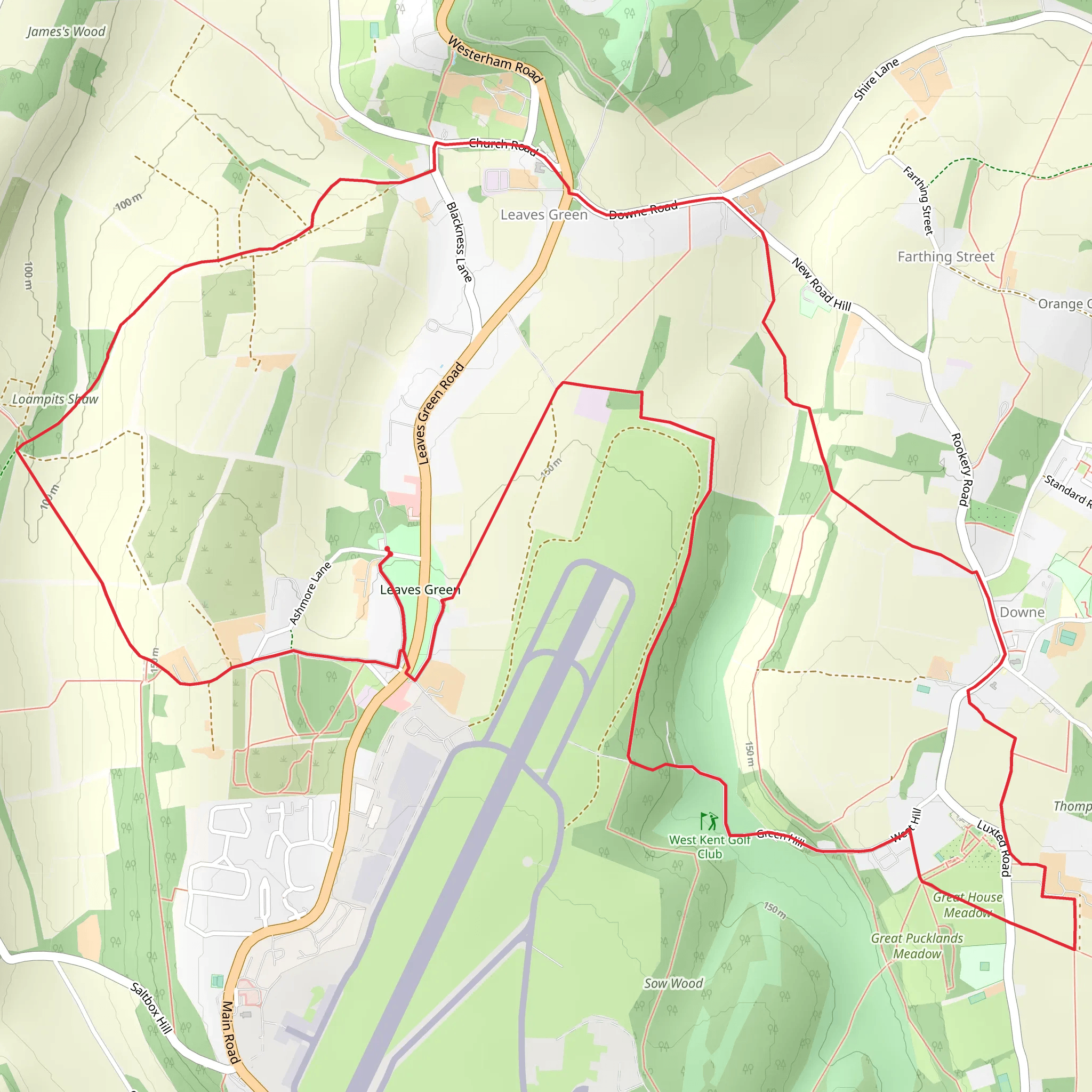 Leaves Green Circular mobile static map