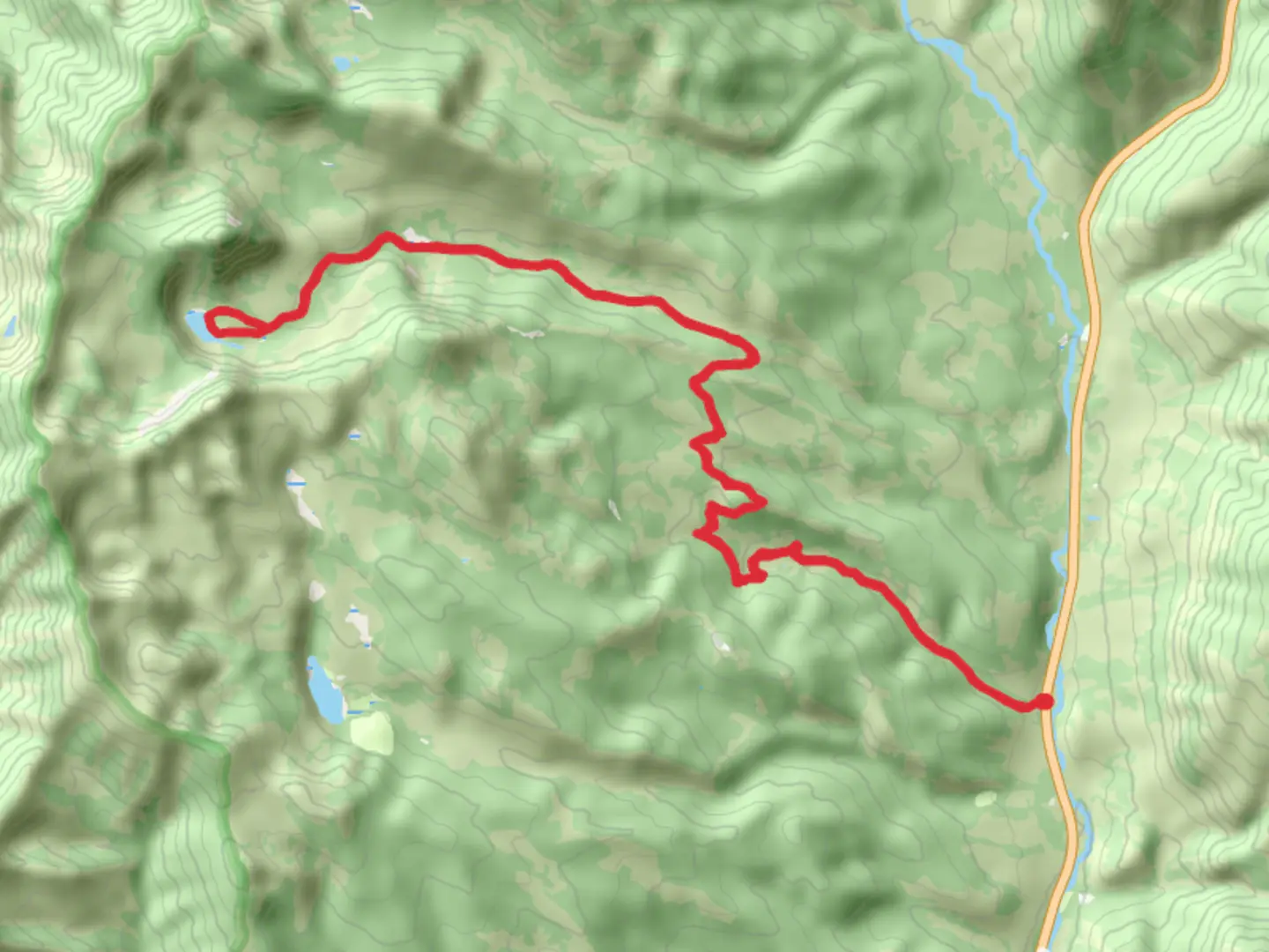 An image depicting the trail White Pine Bunchgrass Canyon Trail and its surrounding area.