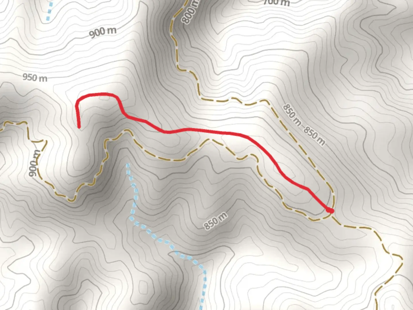 An image depicting the trail Madre Trail and its surrounding area.