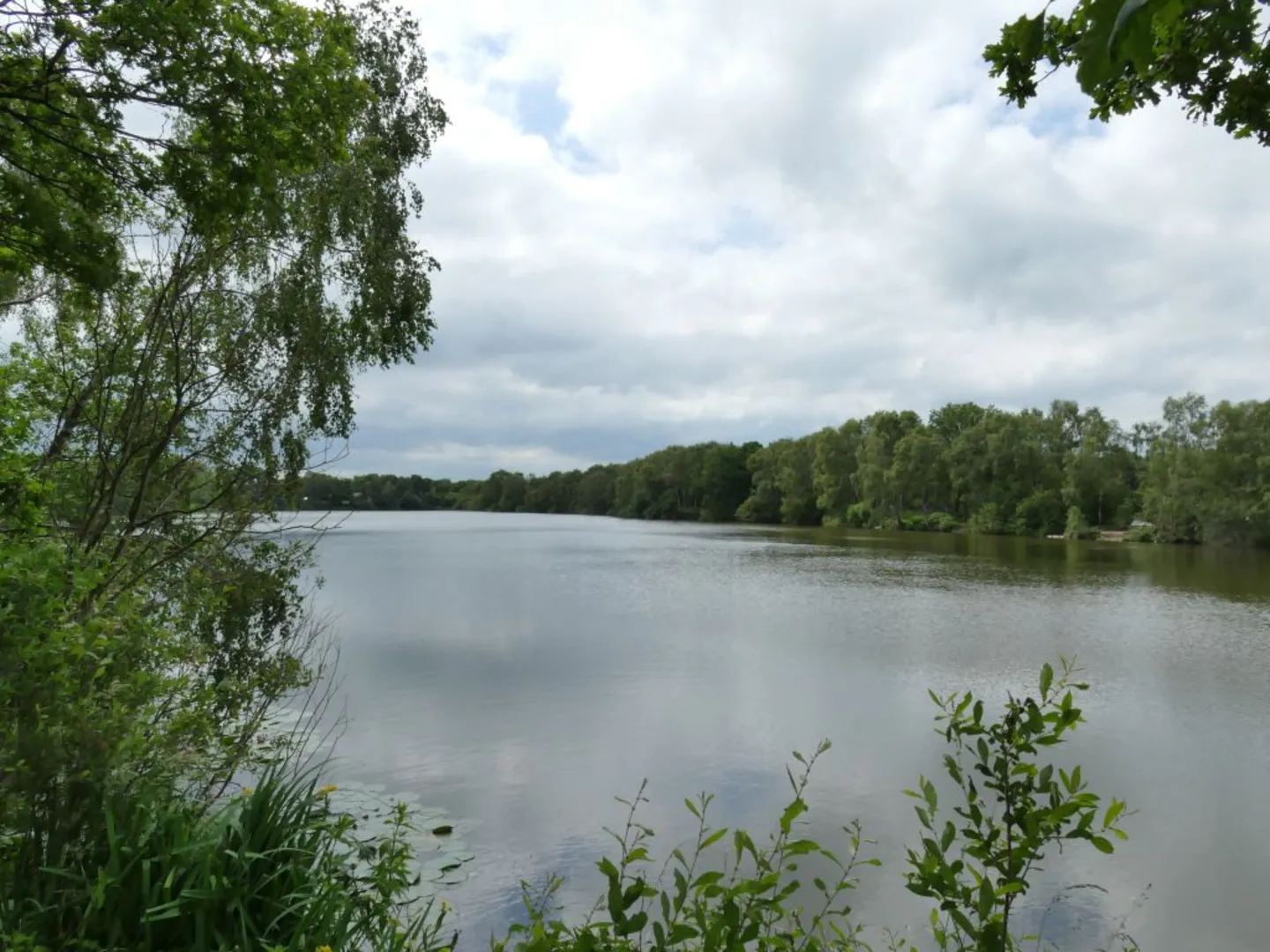 An image depicting the trail Dovemere Loop and its surrounding area.