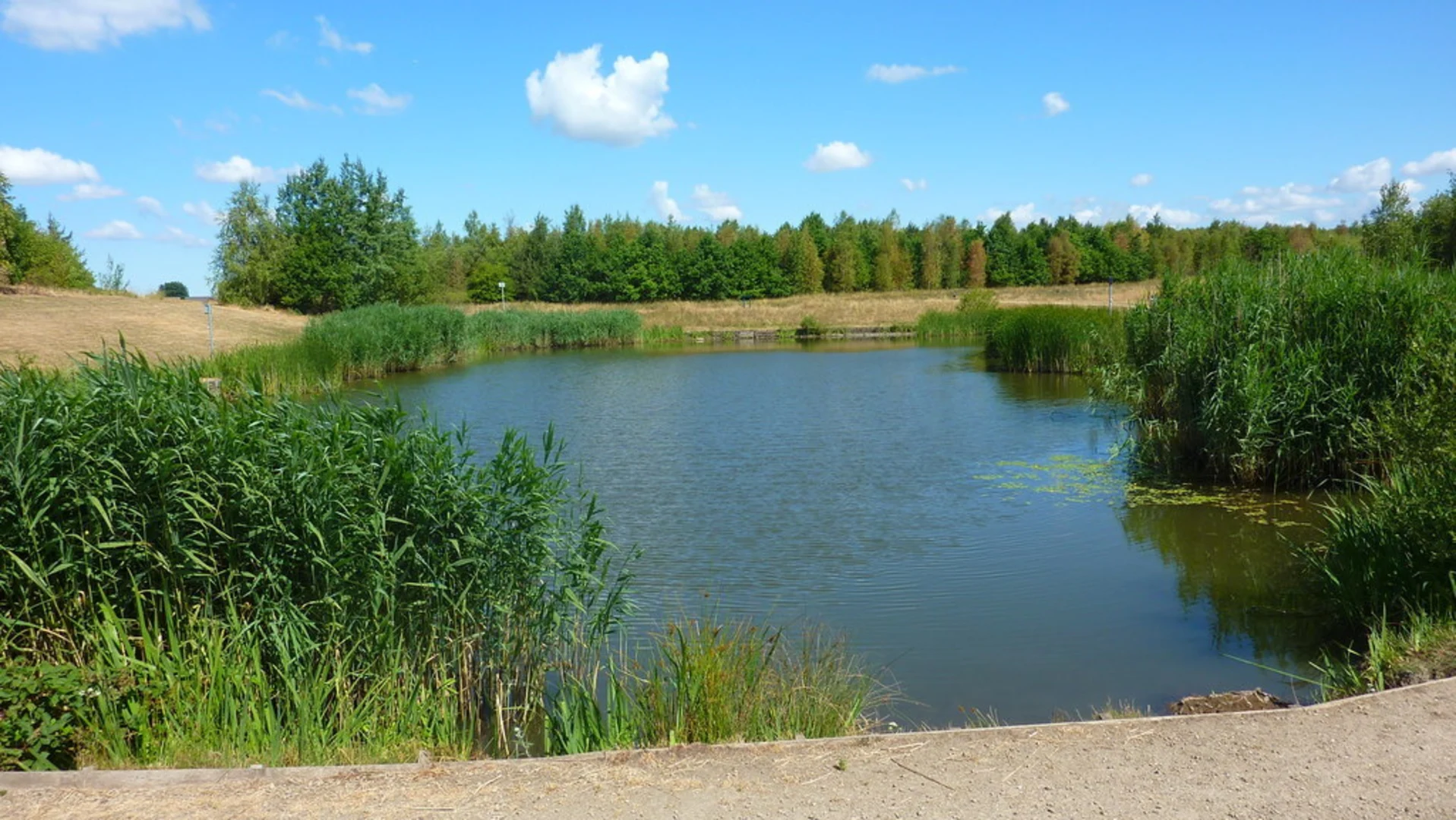 An image depicting the trail Clock Face Country Park Walk and its surrounding area.