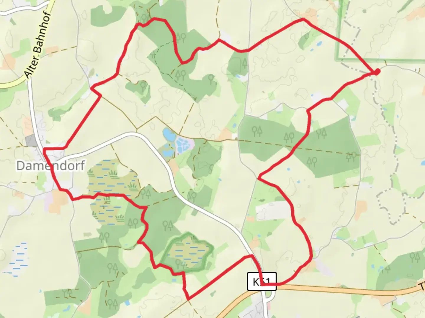 An image depicting the trail Langhorst and Damendorf Loop and its surrounding area.