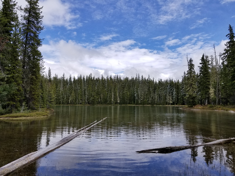 An image depicting the trail Twins Peak Trail and its surrounding area.