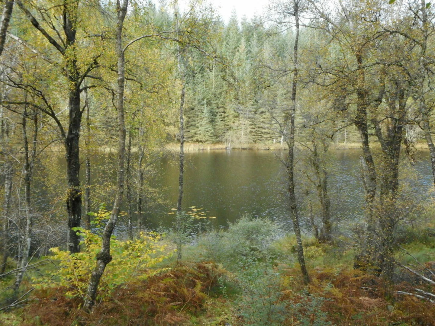 An image depicting the trail Lochan Spling Loop Trail and its surrounding area.