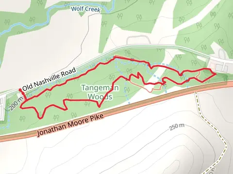 Old Nashville Road Loop