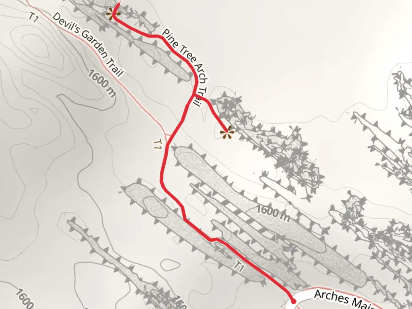 An image depicting the trail Pine Tree Arch Trail and its surrounding area.