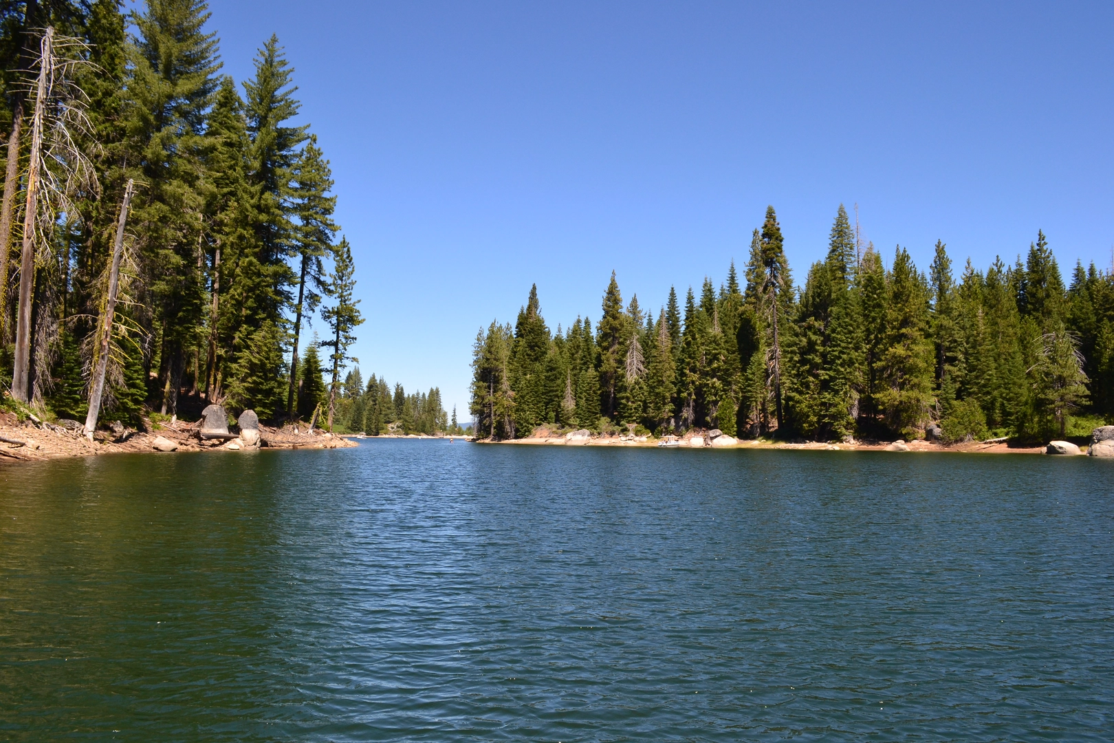 An image depicting the trail Shaver Lake East Shore Walk and its surrounding area.