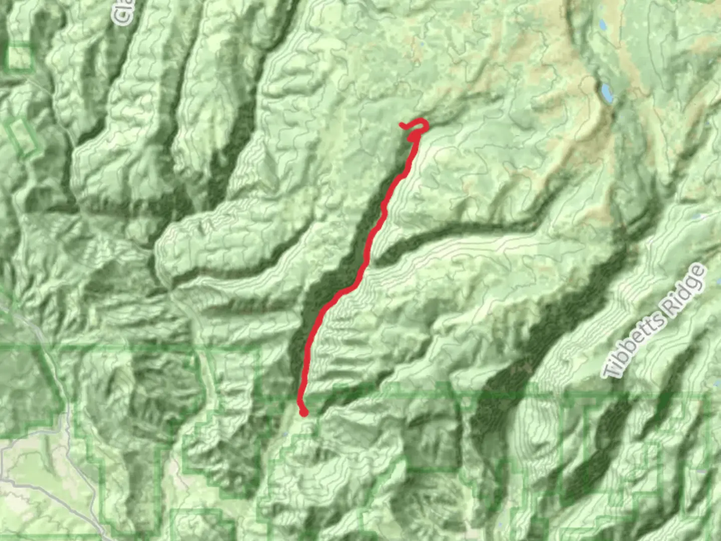 An image depicting the trail East Elk Creek Trail and its surrounding area.