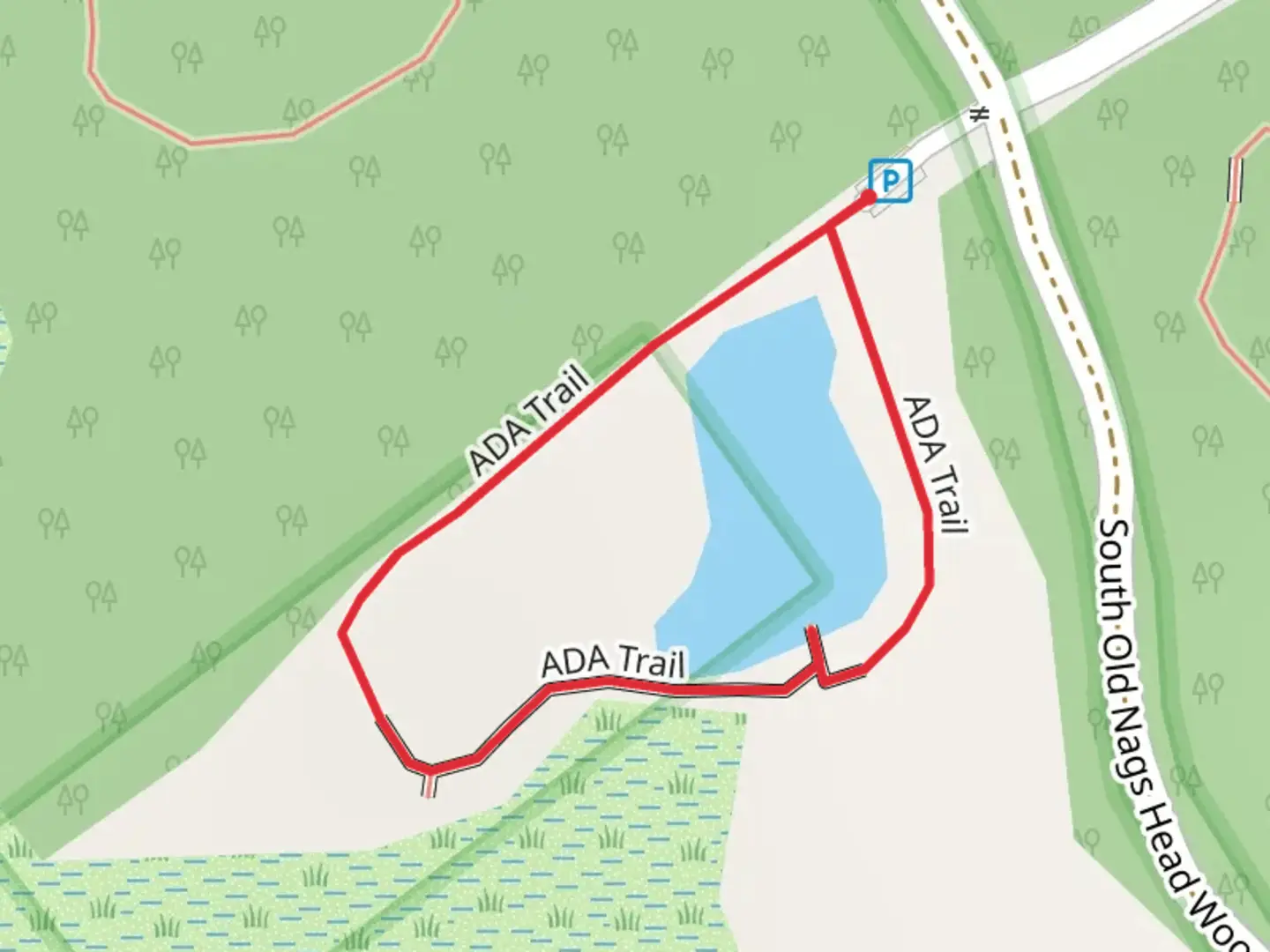An image depicting the trail ADA Loop Trail and its surrounding area.