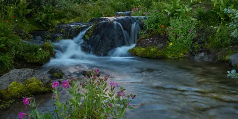 An image depicting the trail Timberline Trail Loop and its surrounding area.