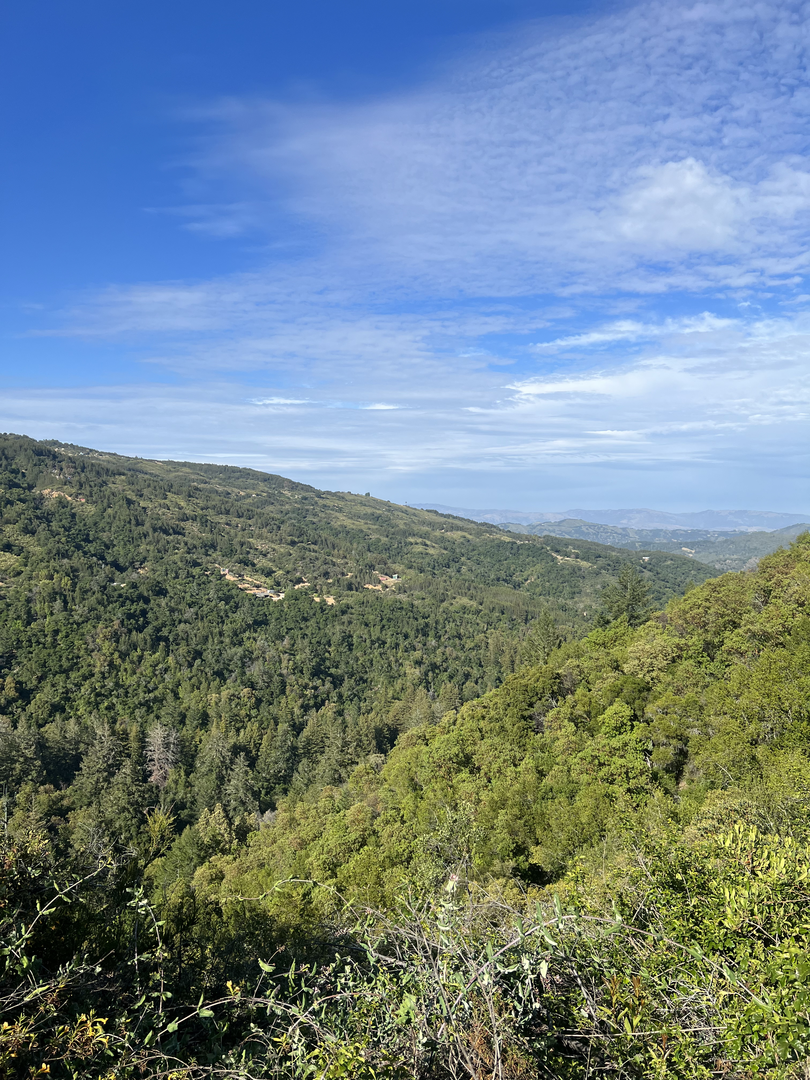 An image depicting the trail Alec Canyon Trail and Waterfall Loop Trail and its surrounding area.