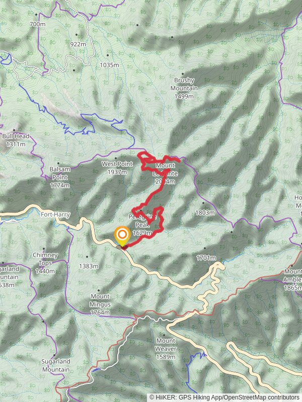 Myrtle Point, Mount le Conte and Cliif Top via Alum Cave Trail