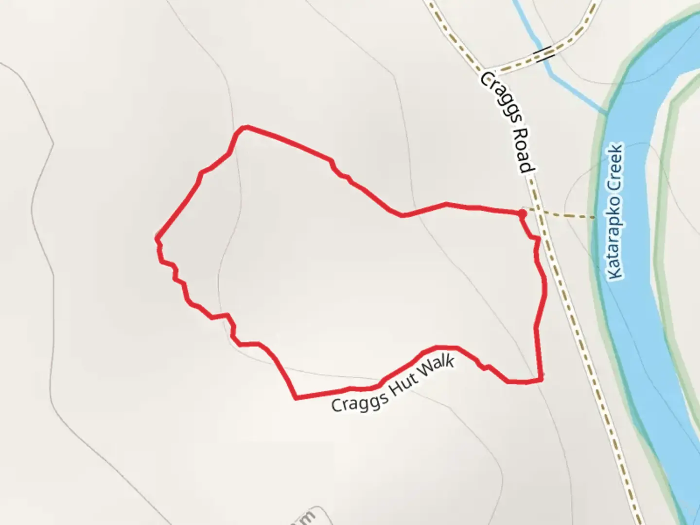 An image depicting the trail Cragg’s Hut Walk and its surrounding area.
