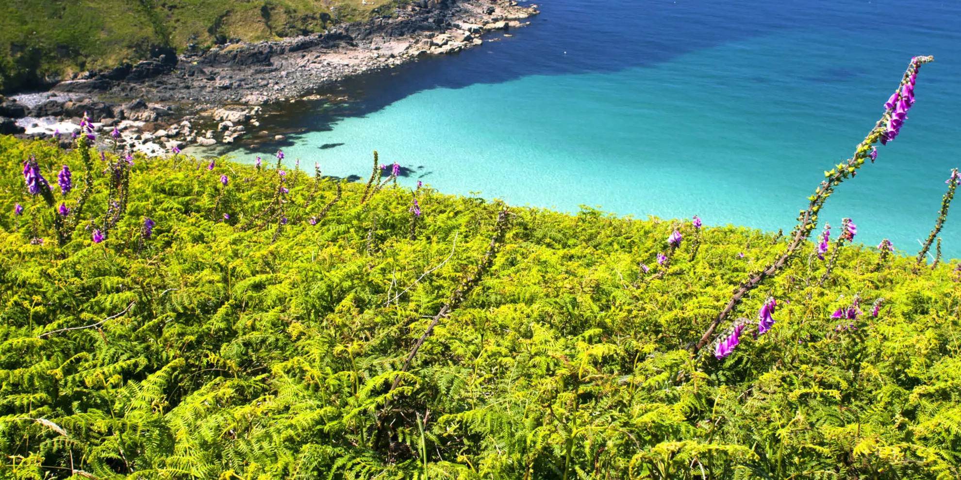 An image depicting the trail Lelant Station - St Ives Walk and its surrounding area.