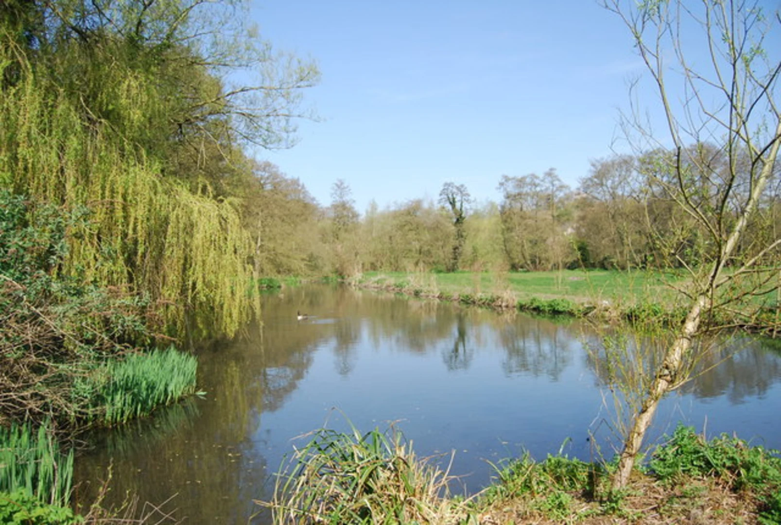 An image depicting the trail Oaks Ash, Hopgarden Wood and Oxted Mill Walk and its surrounding area.