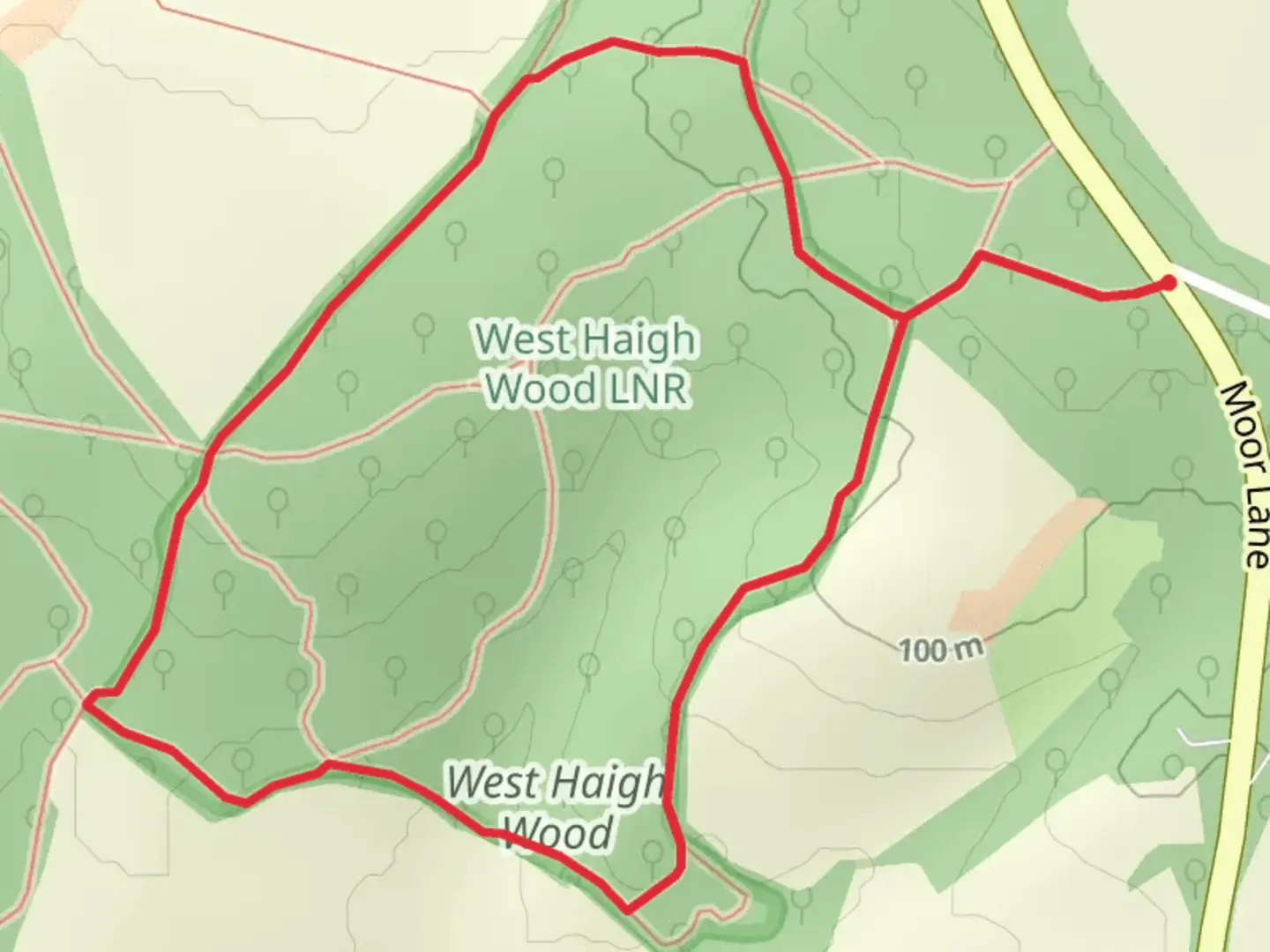 An image depicting the trail West Haigh Wood Loop and its surrounding area.
