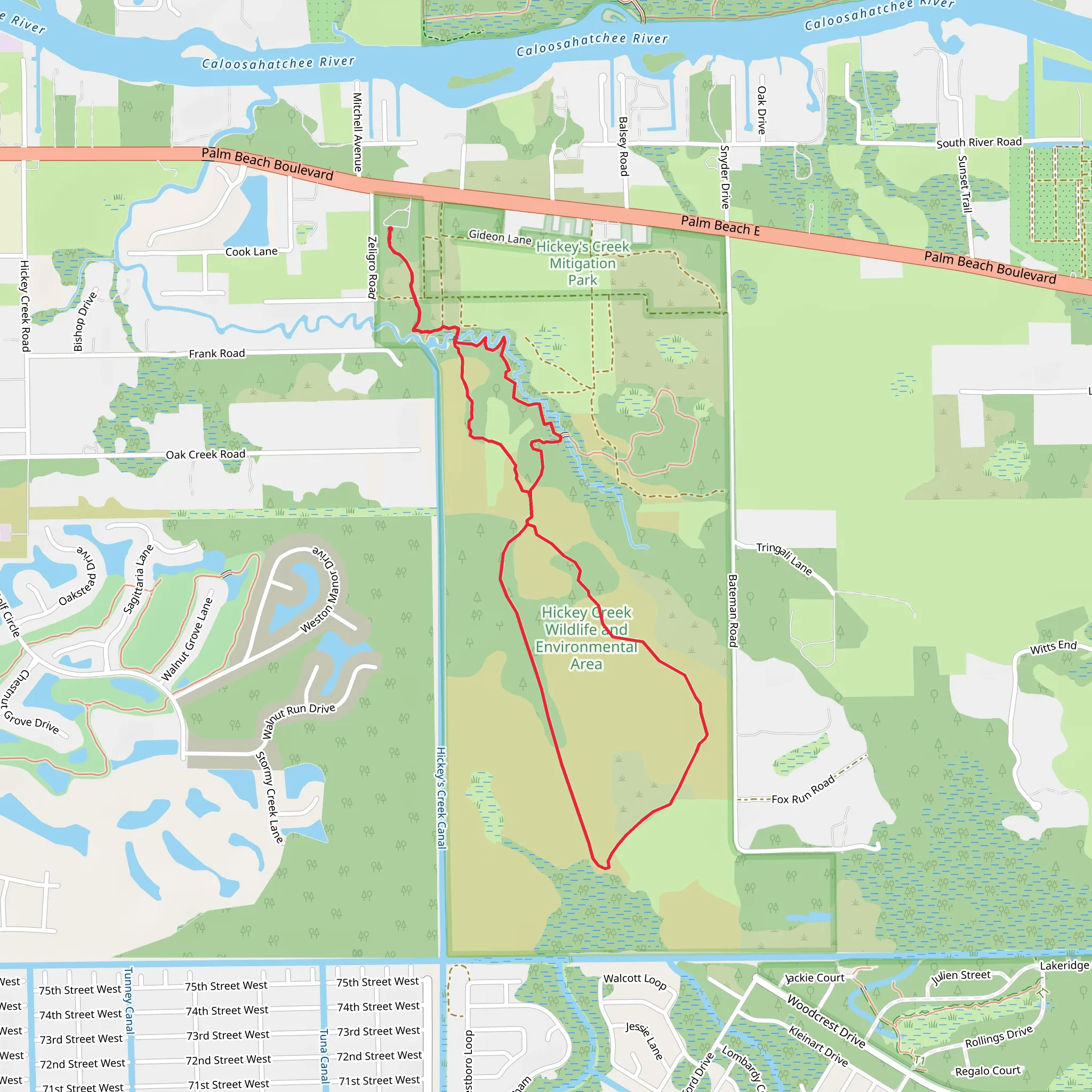 Palmetto Pines Trail via Hickey's Creek Loop Trail mobile static map