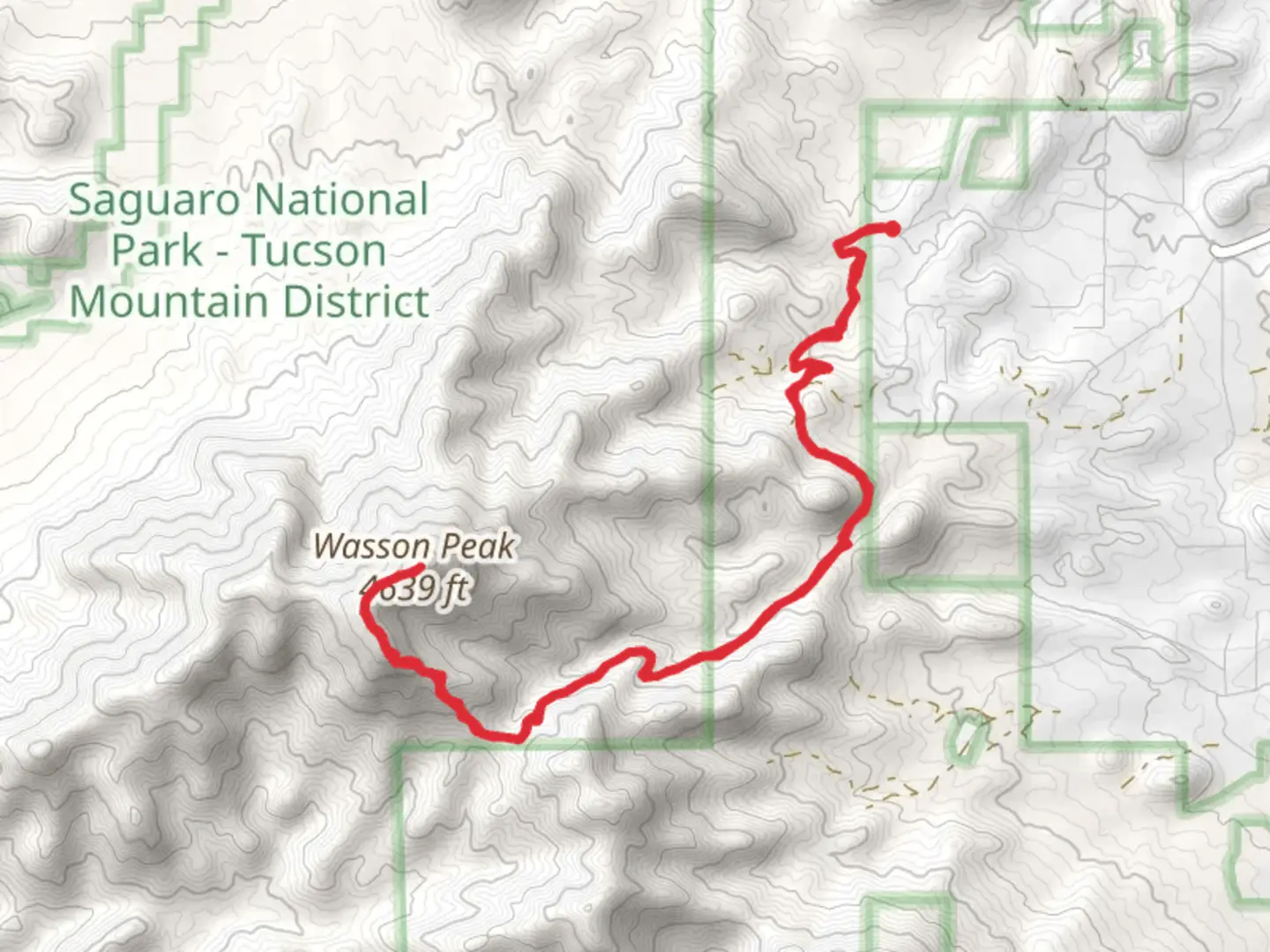 An image depicting the trail Wasson Peak via King Canyon and Sweetwater Trail and its surrounding area.