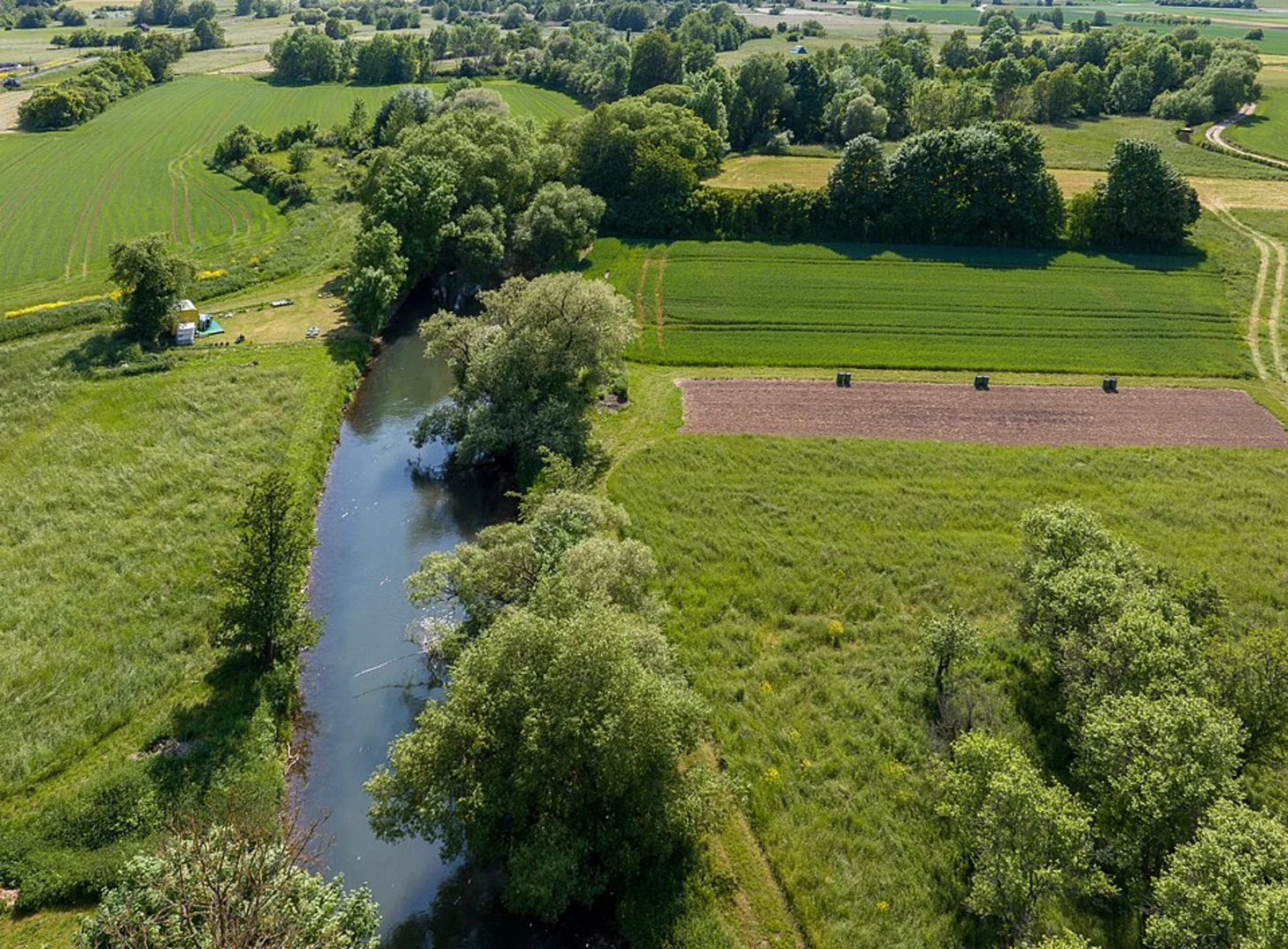 An image depicting the trail Brennberg to Wiesent Walk via Wiesentener Forst and its surrounding area.