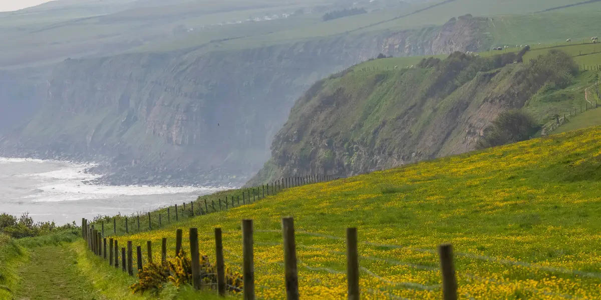 Grosmont to Whitby Walk