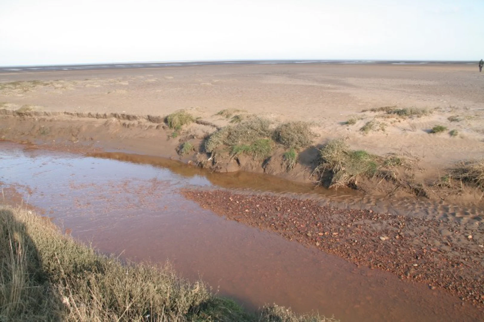 An image depicting the trail Saltfleetby - Theddlethorpe Dunes National Nature Reserve Loop and its surrounding area.
