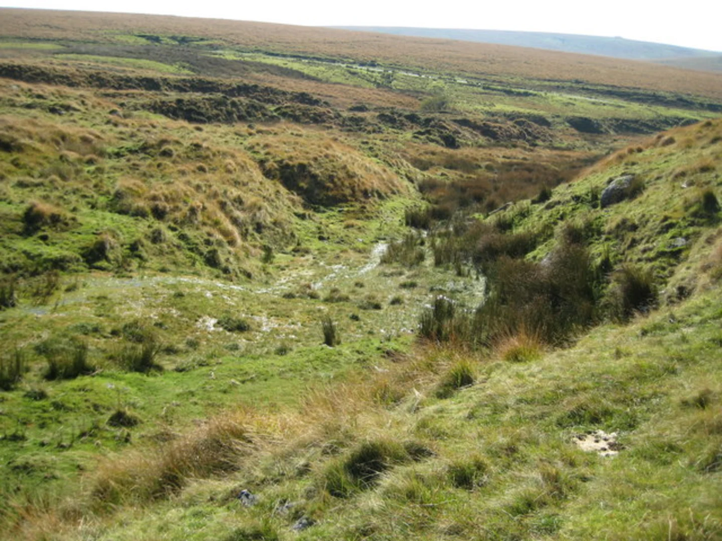 An image depicting the trail Princetown to Walkhampton Walk and its surrounding area.
