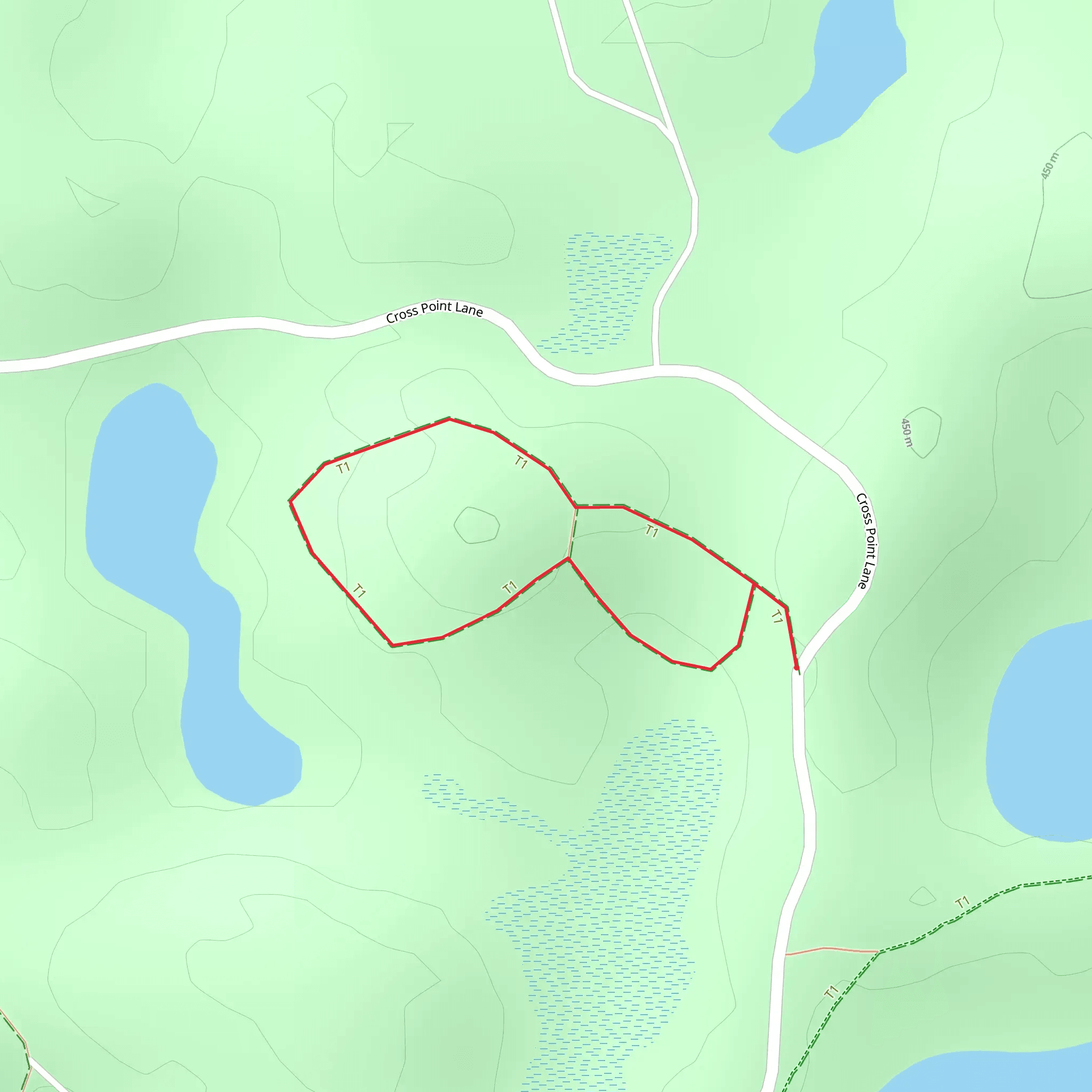 Cross Point Lane Loop mobile static map