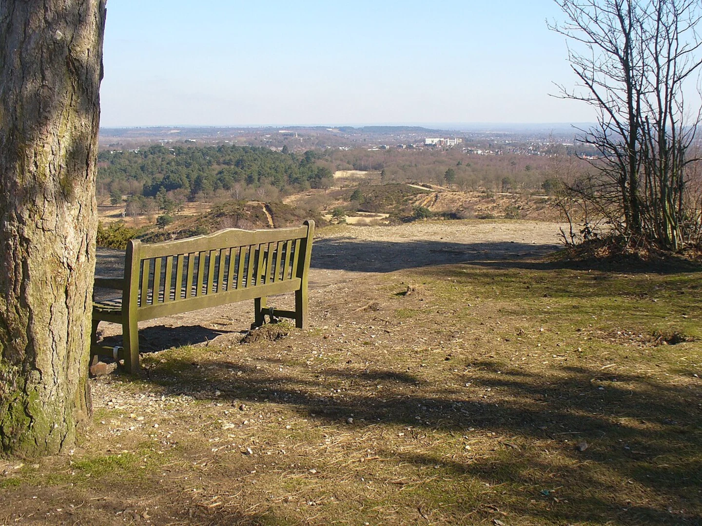 An image depicting the trail Wimbledon and Putney Commons Loop and its surrounding area.