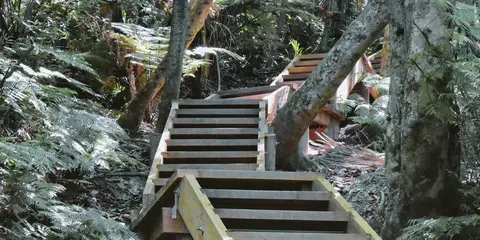 An image depicting the trail Clevedon Scenic Reserve Track and Thorps Quarry and its surrounding area.