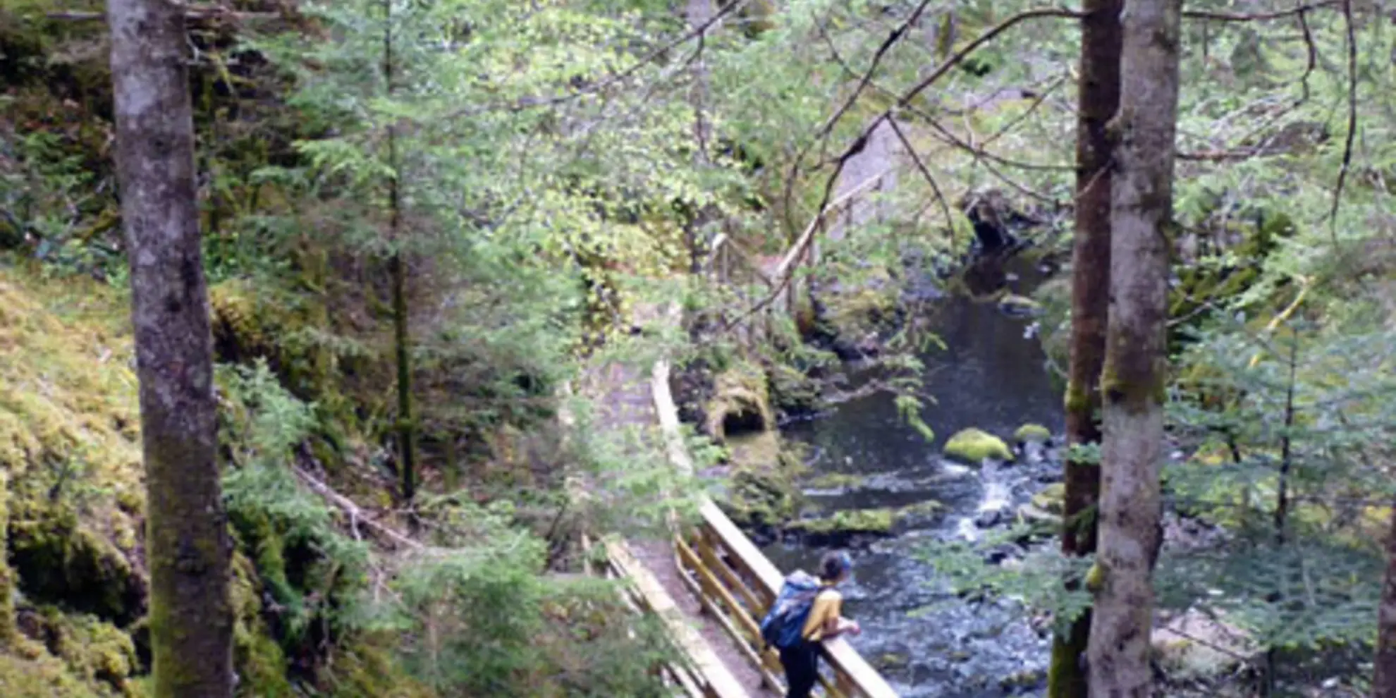 An image depicting the trail Raven's Rock Gorge near Rosehall and its surrounding area.