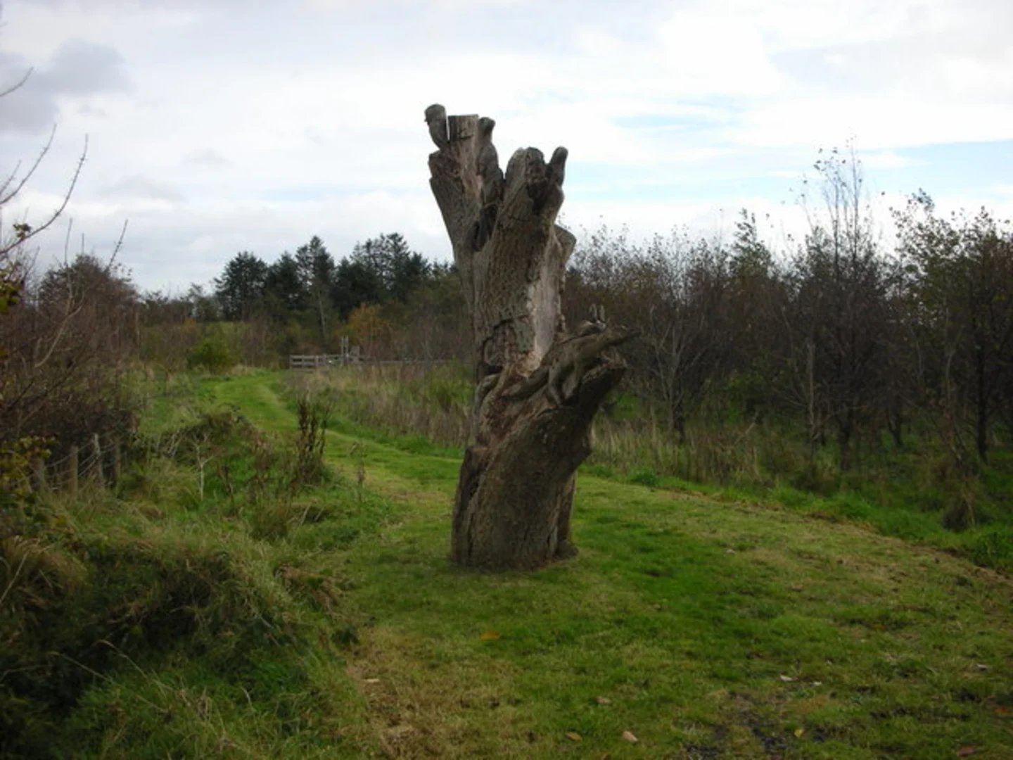 An image depicting the trail Drumnaph Ruachan Trail and its surrounding area.
