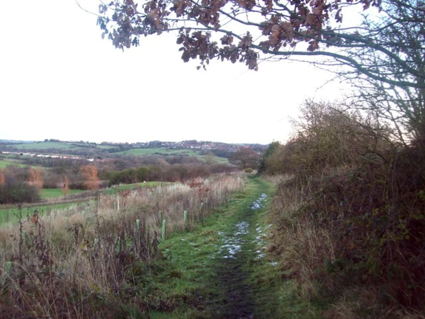 An image depicting the trail Dronfield 2000 Rotary Walk and its surrounding area.